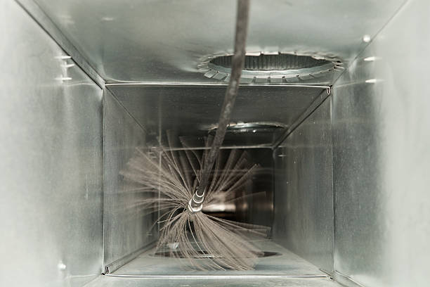 Best Air Duct Mold Removal  in Staples, CT