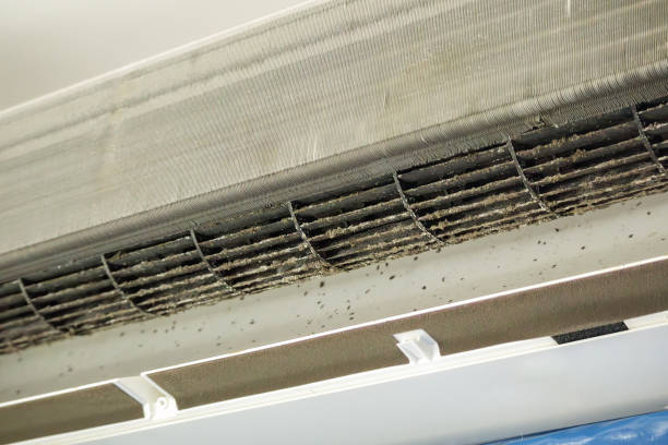 Best Air Quality Test  in Staples, CT